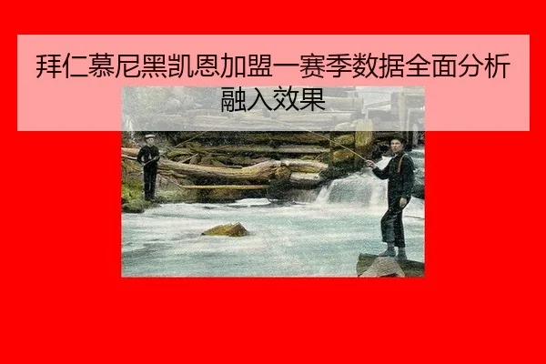 拜仁慕尼黑凯恩加盟一赛季数据全面分析融入效果