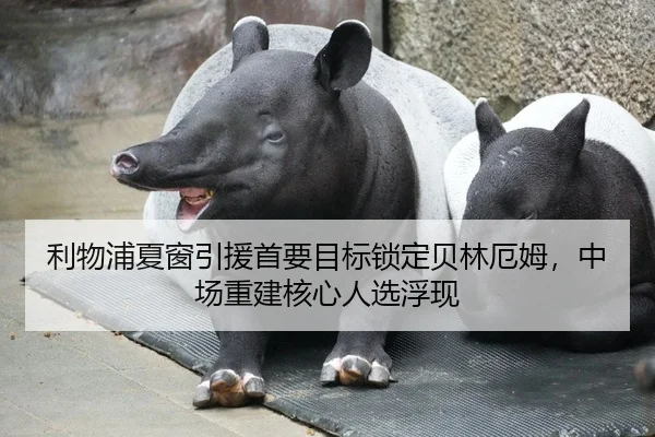利物浦夏窗引援首要目标锁定贝林厄姆，中场重建核心人选浮现