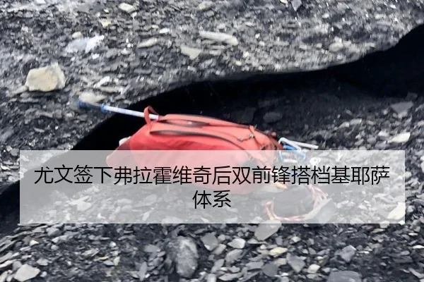 尤文签下弗拉霍维奇后双前锋搭档基耶萨体系